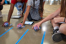 BOLT+ Coding Robot
